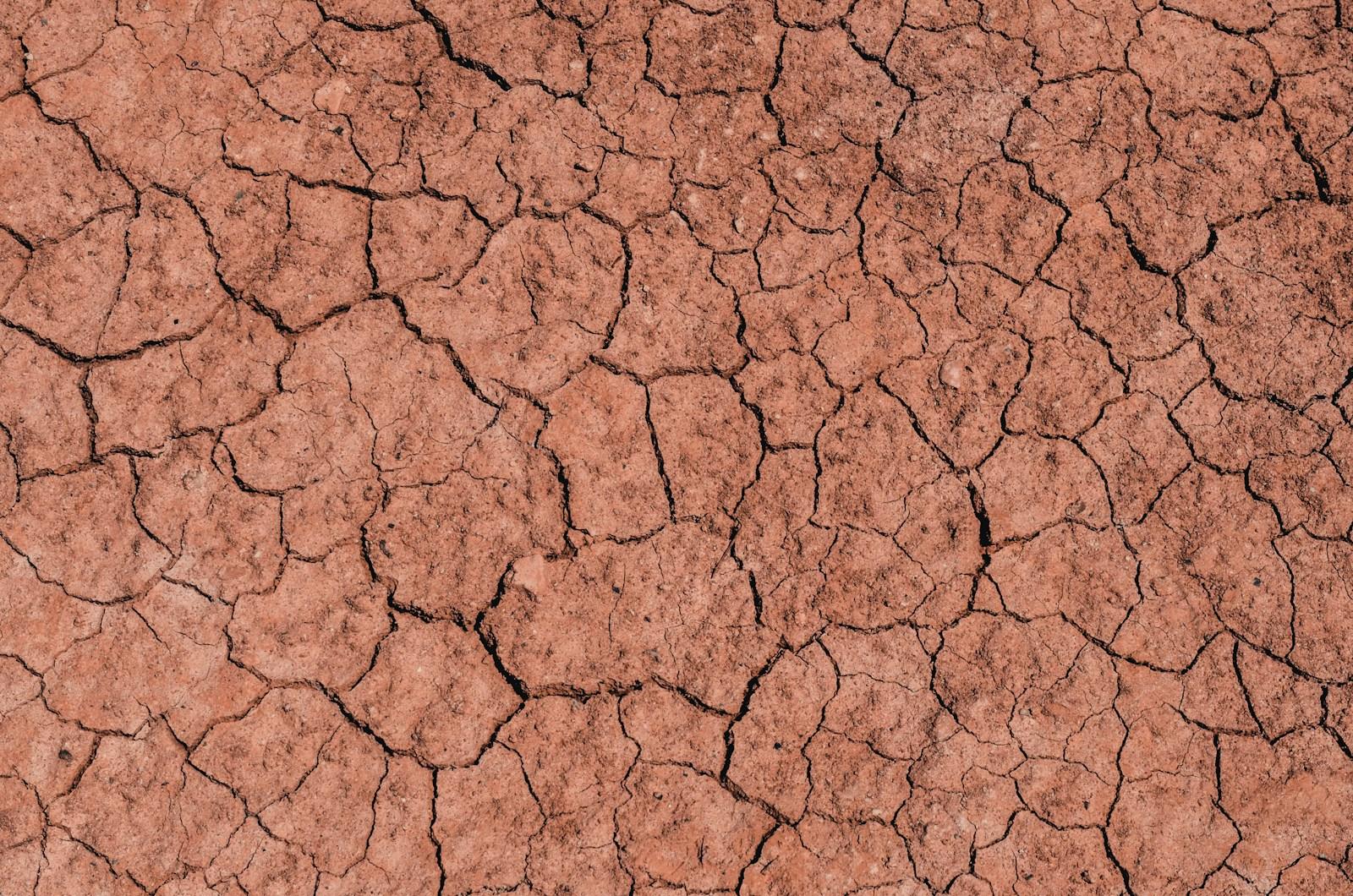 How Expansive Clay Soils Across Texas Damage Your Foundation